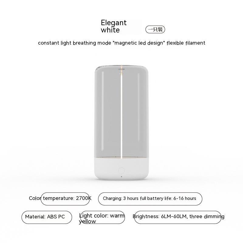 Magnetic ambient light