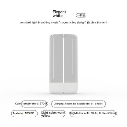 Magnetic ambient light